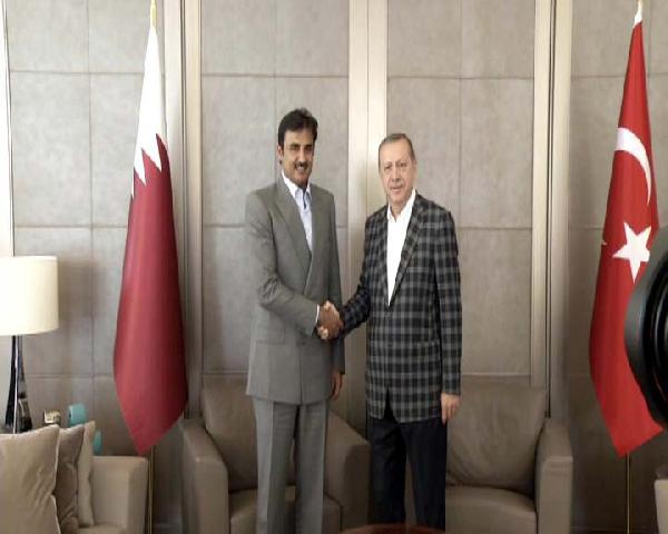 Erdoğan, Katar Emiri'ni kabul etti