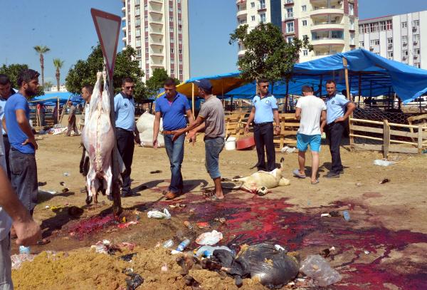 Zabıtaya direnen kasap: Amirinizin kurbanını da kestim