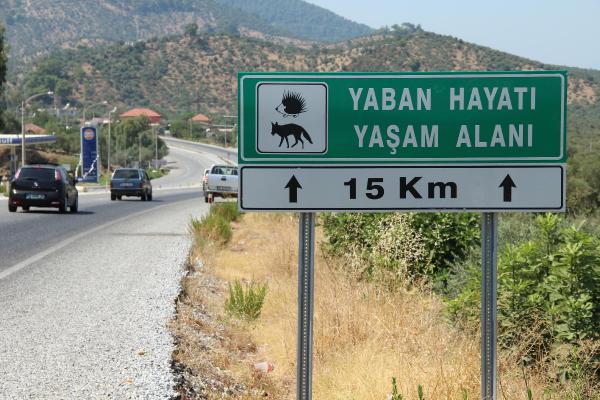 Yaban hayvanları için geçiş koridoru isteği