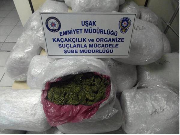 Uşak'ta 134 kilo esrar yakalandı (2)