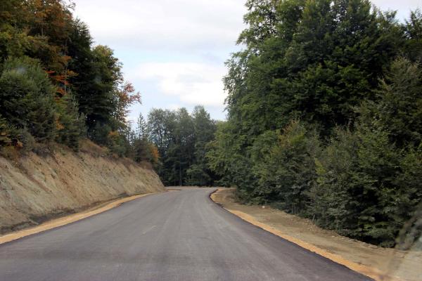 Yedigöller yolu asfaltlandı