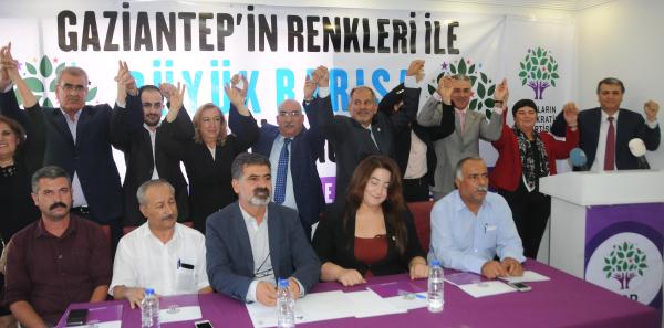 HDP'li Toğrul: 1 Kasım'da halk iradesini yine meclise taşıyacağız