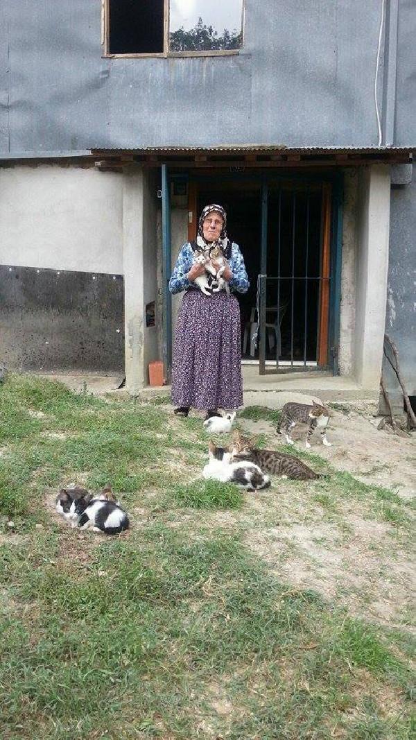 40 kediyle birlikte yaşıyor