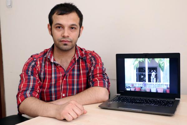 Kayıp Sibirya kurdunu bulana 1500 lira ödül