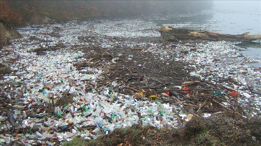Plastik sayısı balık sayısını geçecek