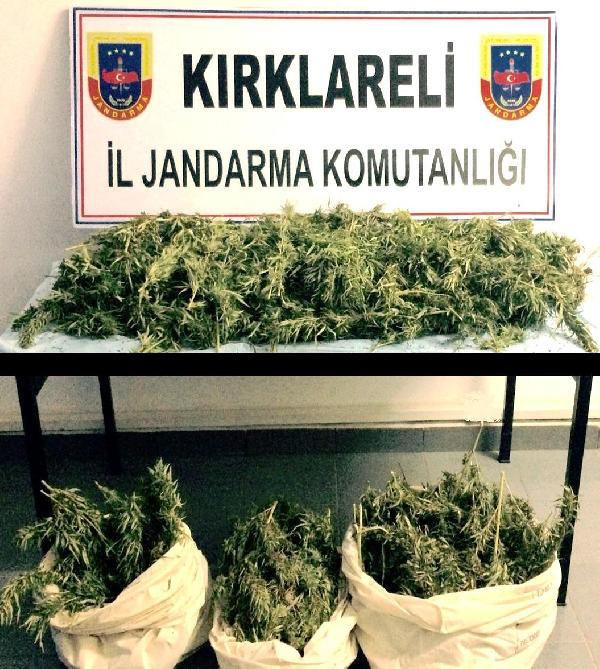 Kırklareli’de 13 kilo esrara 2 tutuklama