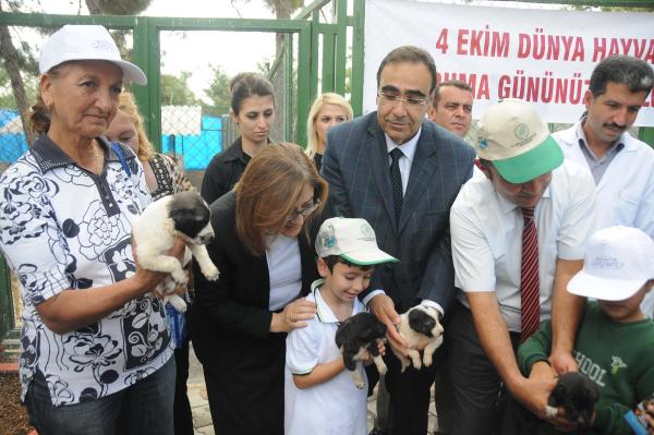 Gaziantep’te 'Hayvanları Koruma Günü' kutlandı