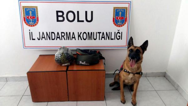 Bolu'da 3 otobüste uyuşturucu ve kaçak sigara ele geçirildi