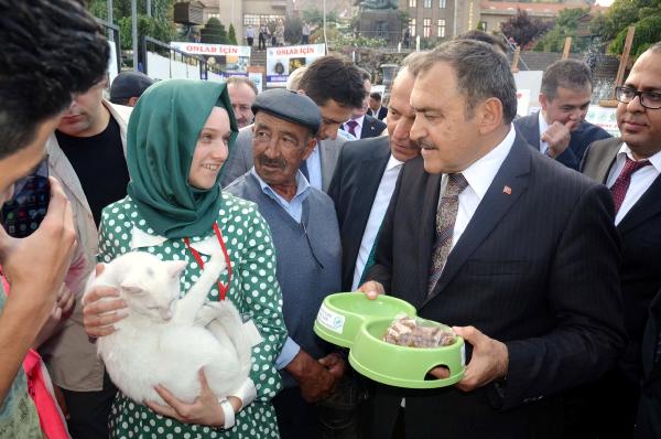 Bakan Eroğlu: Millet Bahçeli'ye hayır diyecek (3)