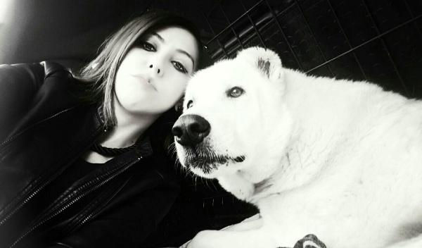 Uyutulacakken hayata dönen köpek için tahliye kararı