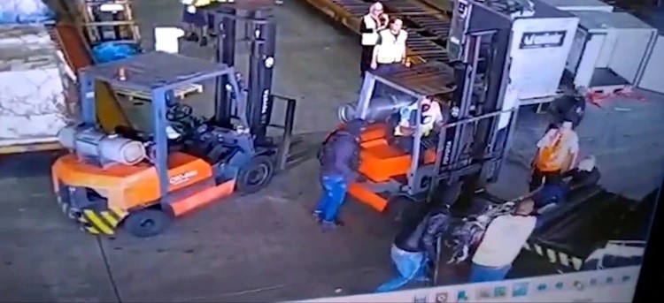 Polis kılığında 750 kilo altın çaldılar