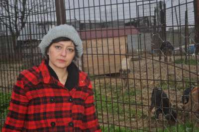 Tüfekle köpek itlafına tepki
