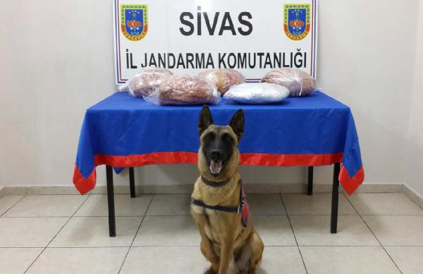 Gürün'de 5 kilo esrar ele geçirildi