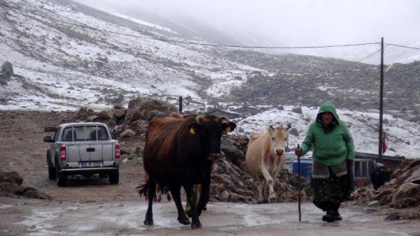 Rize’de yılın ilk karı yağdı, yaylacılar kara yakalandı