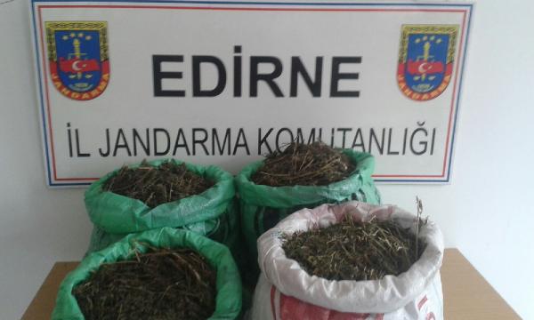 Kullanılmayan evde 16.5 kilo esrar ele geçirildi