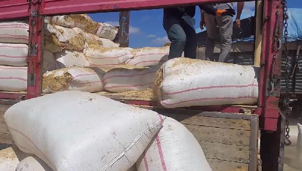 Kars’ta esrar operasyonu: 7 tutuklama