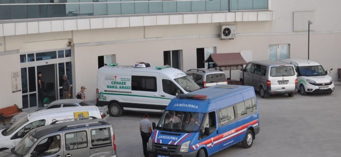 Gurbetçi Türkiye'de eniştesini öldürdü