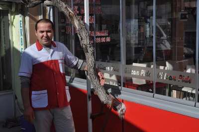 İşyerinin içinde kalan asma ağacını kesmedi