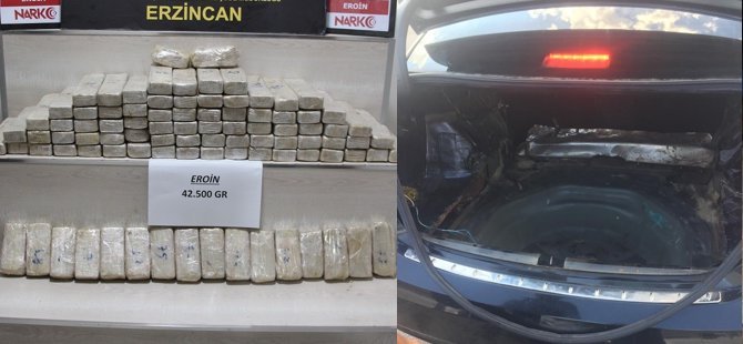 Almanya plakalı otomobilden çıkanlar şaşırttı