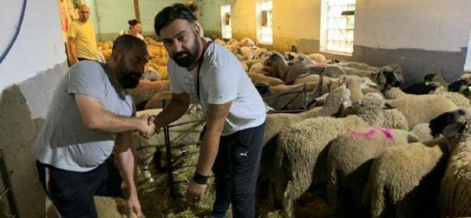 Gurbetçiler Kurban Bayramı’na hazır