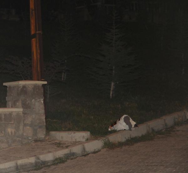 Şüpheli poşet fünye ile patlatıldı