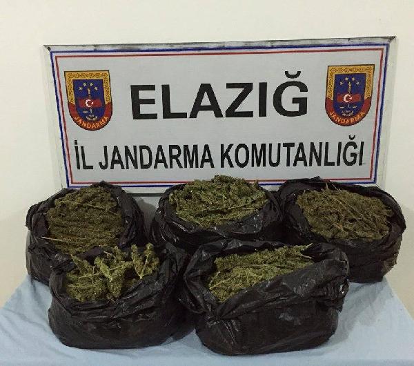 Elazığ'da 30 kilo esrar ele geçirildi