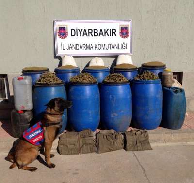 Diyarbakır'da 254 kilo esrar ele geçirildi