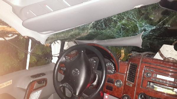 MHP’li Milletvekili adaylarının bindiği minibüsün üzerine ağaç devrildi