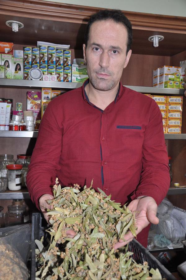 Ihlamurun kilosu 200 lira oldu