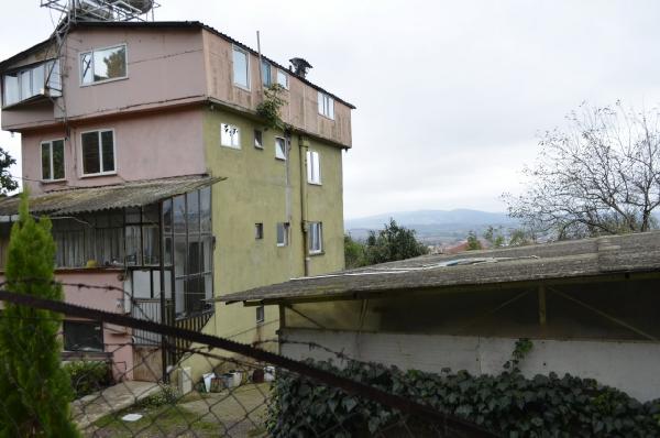 Evin duvarında incir ağacı çıktı