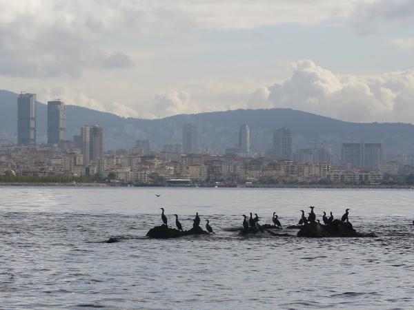 İstanbul'un kayıp adası gün yüzüne çıkartılıyor