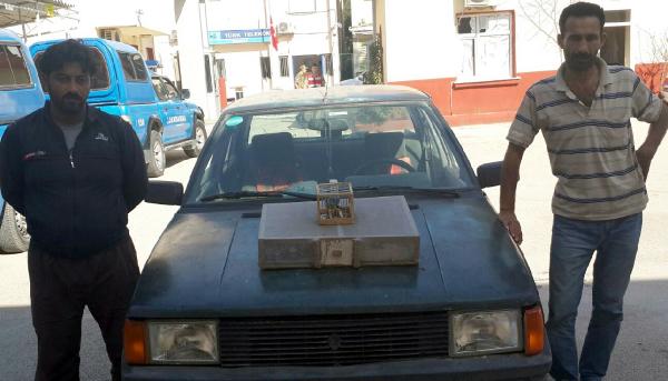 Saka kuşu avlayan Suriyelilere 24 bin lira ceza