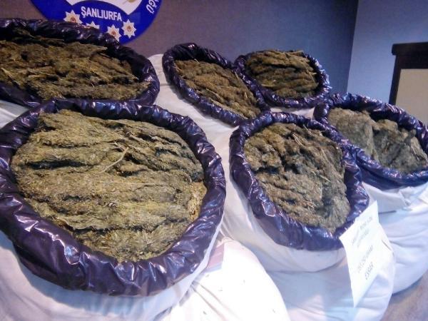 Şanlıurfa’da 263 kilo esrara 2 gözaltı