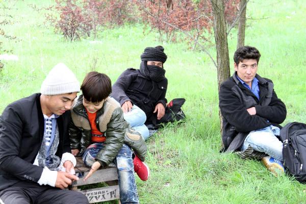 Umut yolculuğu armut bahçesinde sona erdi