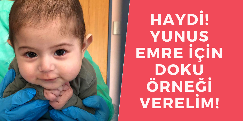 Almanya, Yunus Emre için ayakta