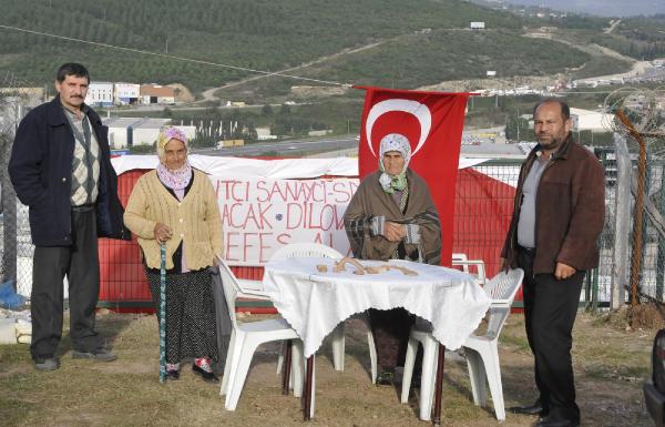 Dilovası Adatepe'de ağaç kesimi, mahkeme kararıyla durduruldu