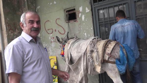 Mardin'de yük taşıyan eşeklere dışkı torbası zorunluluğu