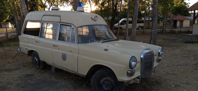 36 yıl aradan sonra güneş yüzü gördü
