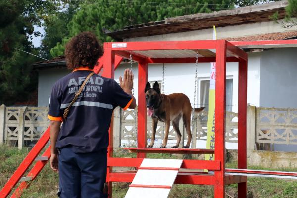 Enkaz altından can kurtaracak köpekler için sınav