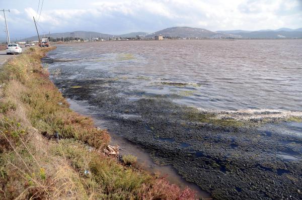 Tuzla Sulak Alanı'na nefes aldıracak düzenleme