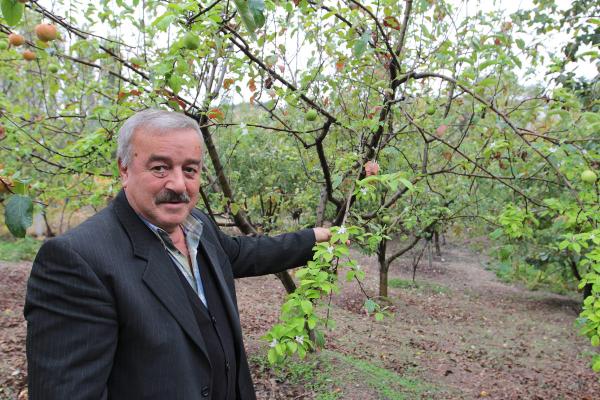 Stres, elma ağacına çiçek açtırdı