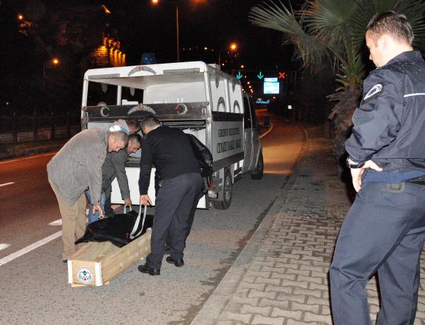 Giresun’da kayıp gencin cesedi mendirek kayalıklarında bulundu
