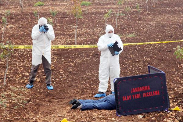 Şanlıurfa'da boş arazide ceset bulundu