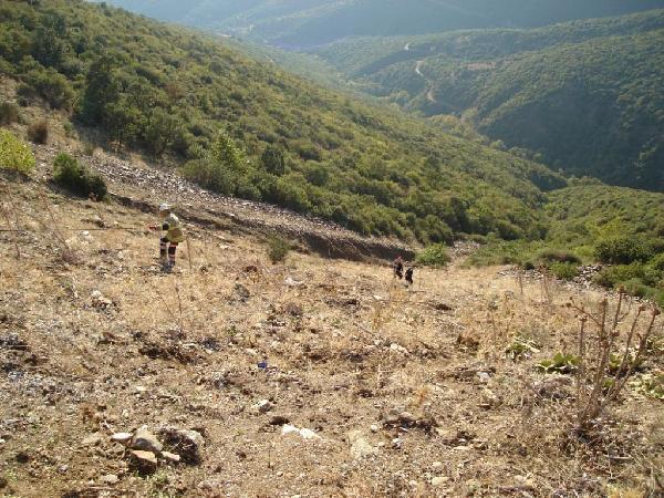 10 gün önce ehliyet alan kadın ile kocası kazada öldü