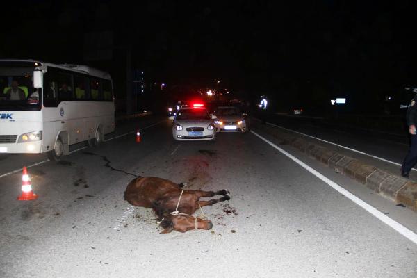 Adapazarı'nda at arabası zincirleme kazaya neden oldu