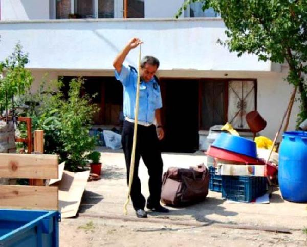 Zabıta yaralı şahine sahip çıktı
