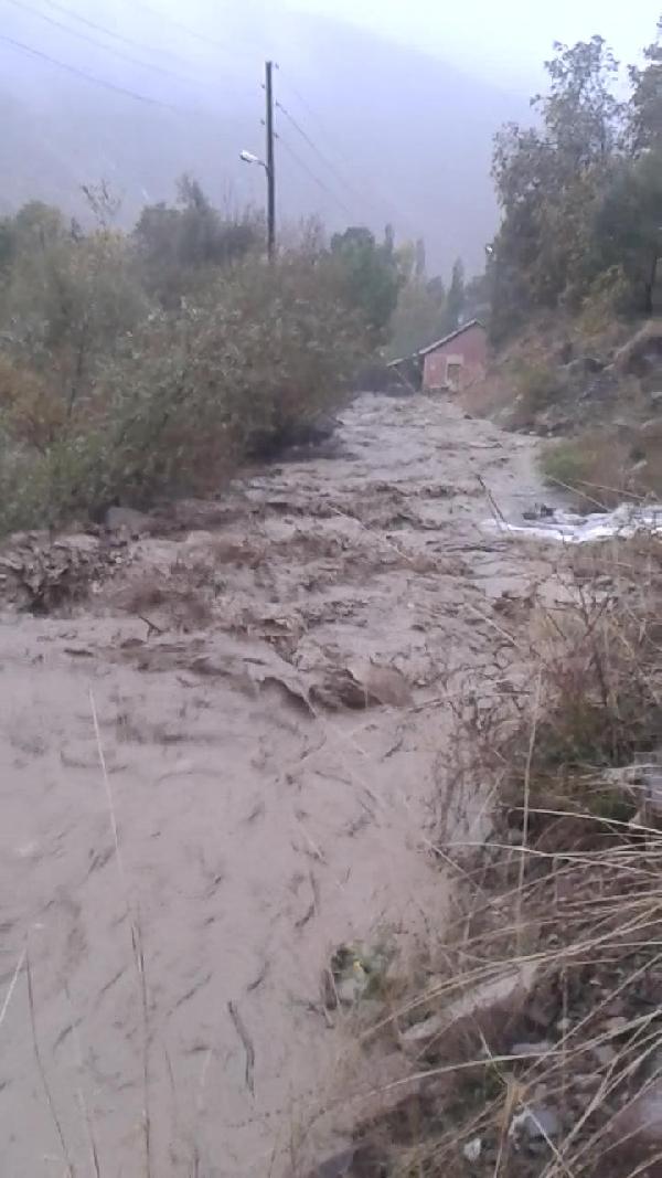 Hakkari'nin köyündeki sel baskını hasara yol açtı