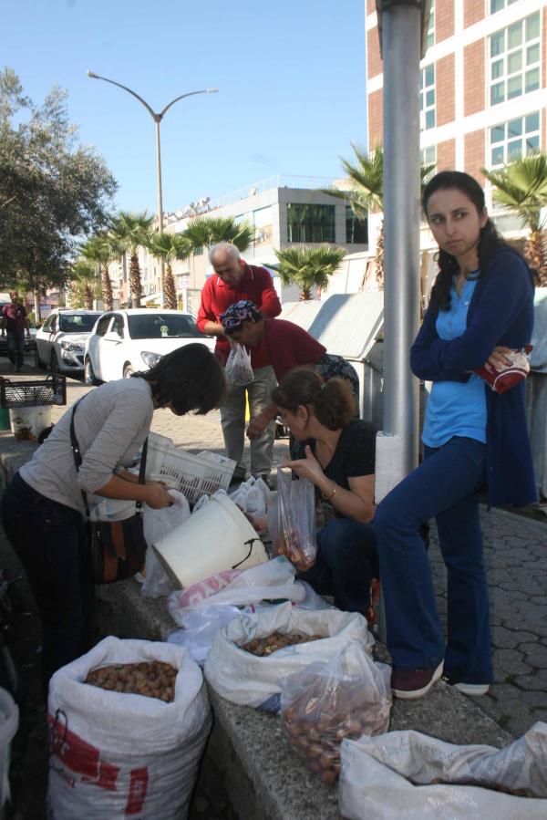 Dağlardan toplanan mantarlar gelir kapısı oldu