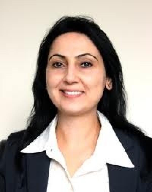 Van'da HDP 6, Ak Parti 2 vekil çıkardı