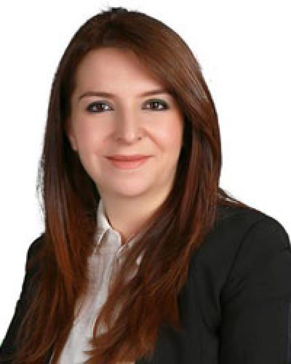 Muş'ta HDP 2, AKP 1 milletvekili çıkardı